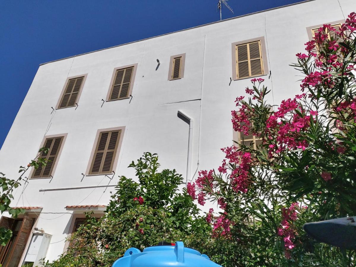 Whole Holiday Home Apartment Splendid Civitavecchia Da Pamino & Priscilla エクステリア 写真