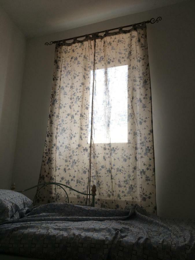 Whole Holiday Home Apartment Splendid Civitavecchia Da Pamino & Priscilla エクステリア 写真